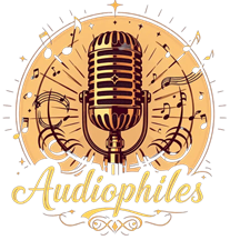 Интернет магазин для меломанов